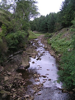 <span class="mw-page-title-main">River Ashop</span> River in England