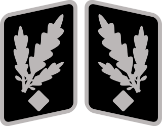 <i>Gruppenführer</i> Generals rank in the Schutzstaffel (SS)