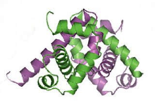 <span class="mw-page-title-main">Tryptophan repressor</span> Transcription factor