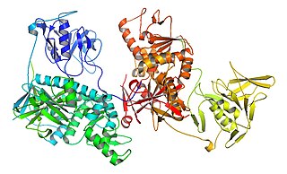 <span class="mw-page-title-main">Trypanothione synthase</span> Class of enzymes