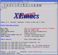 XEmacs 21.5.29 (beta)，具有抗鋸齒字型特點