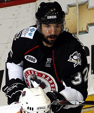 <span class="mw-page-title-main">Alain Nasreddine</span> Canadian ice hockey player and coach