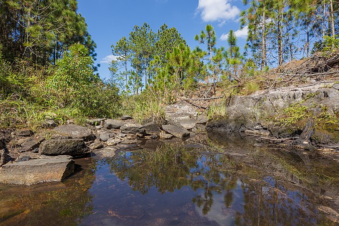 Anodard Pond, Loei