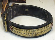 Bob's collar on display at NRM Adelaide BobtheSouthAustralianRailwaysDogcollar.jpg