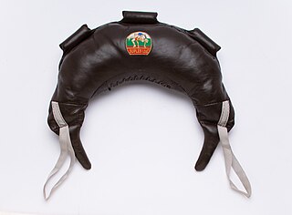 <span class="mw-page-title-main">Bulgarian bag</span> Exercise equipment