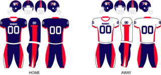 <span class="mw-page-title-main">2012 Port Huron Patriots season</span>