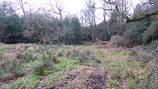 <span class="mw-page-title-main">Charleshill SSSI</span>