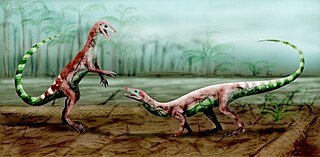 <i>Malerisaurus</i> Extinct genus of reptiles