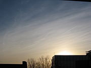 Cirrostratus fibratus