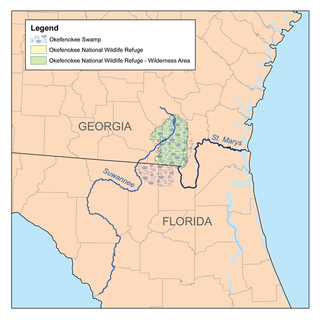 <span class="mw-page-title-main">Okefenokee Swamp</span> Wetlands in Florida and Georgia, USA