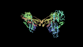 <span class="mw-page-title-main">Phosphofructokinase deficiency</span> Medical condition