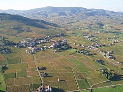 Skyline of Quincié-en-Beaujolais