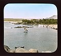 Verdant Elephantine Island, opposite Assuan, Egypt", 1908. Lantern slide. Brooklyn Museum