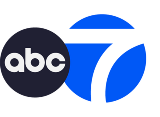 <span class="mw-page-title-main">WLS-TV</span> ABC TV station in Chicago