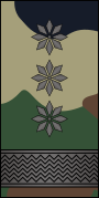 Colonel