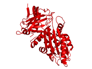 <span class="mw-page-title-main">SERPINB3</span> Protein-coding gene in the species Homo sapiens