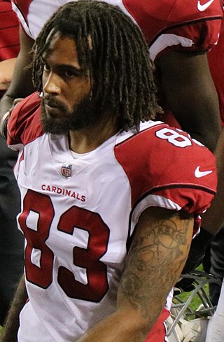 <span class="mw-page-title-main">Aaron Dobson</span> American football player and coach (born 1991)