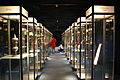 Image 8Display cases in Altena Castle