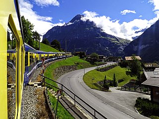 <span class="mw-page-title-main">Bernese Oberland Railway</span> Narrow-gauge mountain railway in the Bernese Oberland of Switzerland