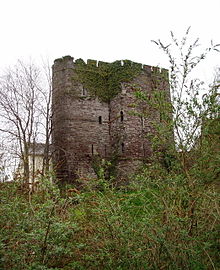 Brecon Castle in 2006; this was the Duke of Buckingham's traditional base in the Welsh Marches. Brecon Castle.jpg