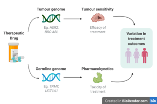 <span class="mw-page-title-main">Cancer pharmacogenomics</span>