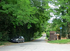 vue en couleurs d'une voie de circulation arborée.