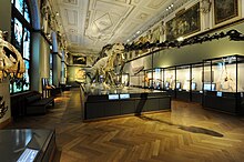 Dinosaur hall, hall 10 at NHM Vienna Dinosaur hall.jpg