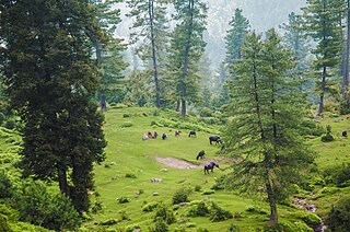 <span class="mw-page-title-main">Bagh District</span> District of Azad Kashmir administered by Pakistan