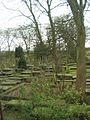 Haworth Churchyard