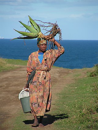 <span class="mw-page-title-main">Women in South Africa</span>