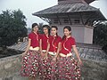 Image 15Nepali traditional Pahadi dress used for dance (from Culture of Nepal)