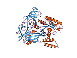 EF1 guanine nucleotide exchange domain