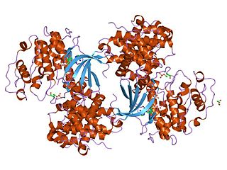 <span class="mw-page-title-main">CDC6</span> Protein-coding gene in the species Homo sapiens