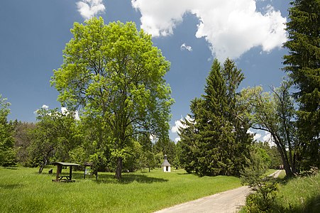 Chemin à Umíř.