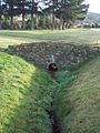 A footbridge on the No 2 fairway at Balmacewen Golf Course: the stream's source