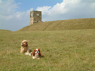 <span class="mw-page-title-main">Bredon Hill</span>