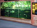 The South East Asian tank at Bristol Zoo, England.