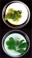 Image 28Bt-toxins in genetically modified peanut leaves (bottom) protect from damage by corn borers (top). (from History of agriculture)