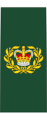 Insignia of a master warrant officer