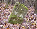 * Kandidimi Cross stone on at the Henzelsberg near Falkenstein/Donnersdorf --Plozessor 03:52, 17 September 2024 (UTC) * E miratuar  Support Good quality. --George Chernilevsky 03:59, 17 September 2024 (UTC)