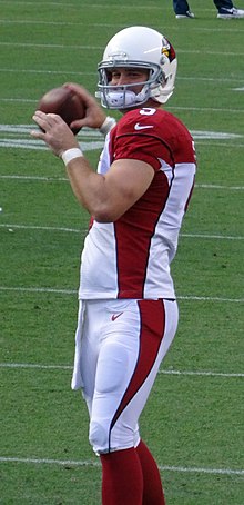 Drew Stanton (2014, 2016-2017) Drew Stanton.JPG