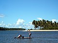 Fishermen in Tamandaré.