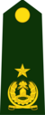 Brigadier General