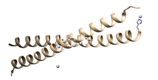 <span class="mw-page-title-main">Microphthalmia-associated transcription factor</span> Mammalian protein found in Homo sapiens