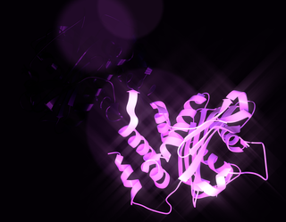 <span class="mw-page-title-main">Electroneutral sodium bicarbonate exchanger 1</span> Protein-coding gene in the species Homo sapiens