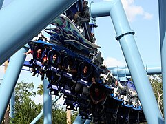 Manta à SeaWorld Orlando