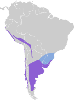 Distribución geográfica del siete colores.