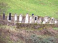 Mennonitischer Friedhof