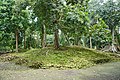 Trees above the ruins of Candi Koto Mahligai