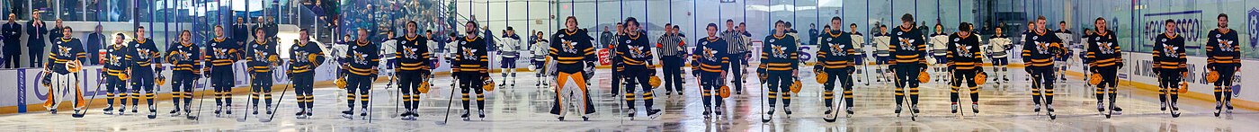 Lineup of American International Yellow Jackets players